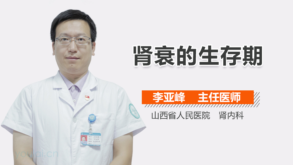 肾衰的生存期