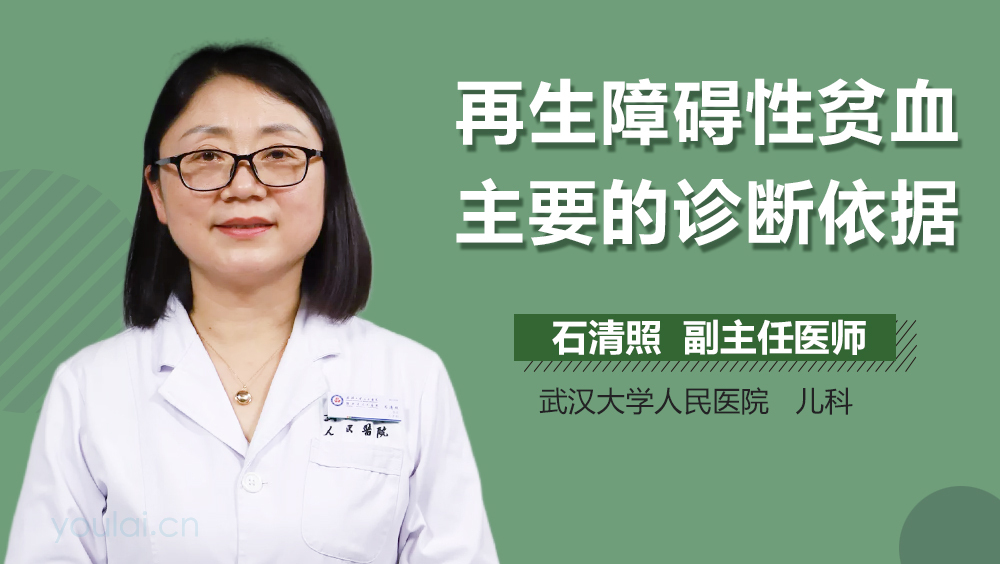 再生障碍性贫血主要的诊断依据