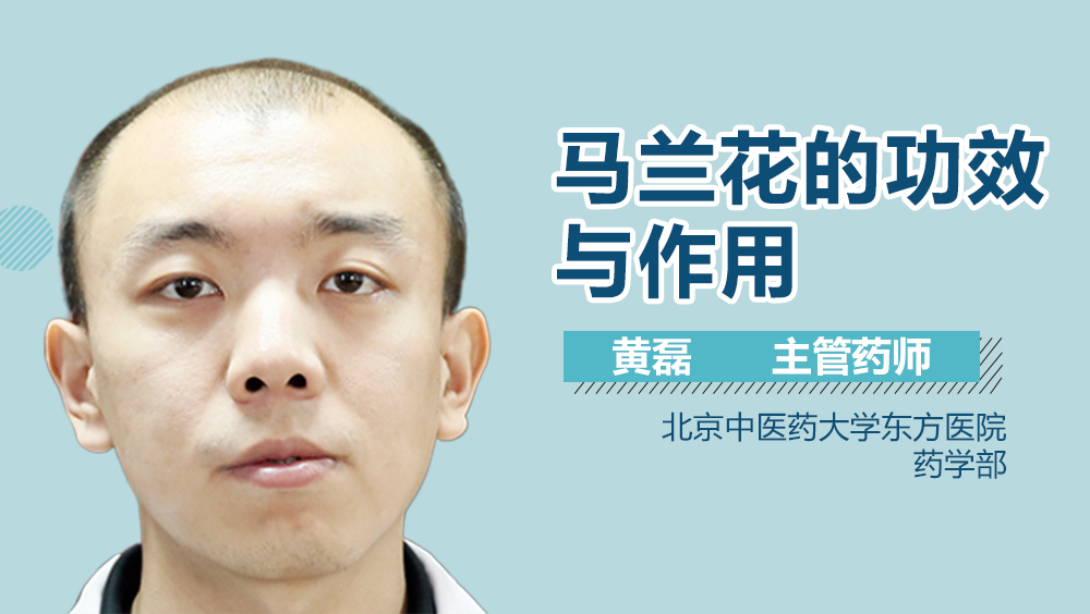 马兰花的功效与作用