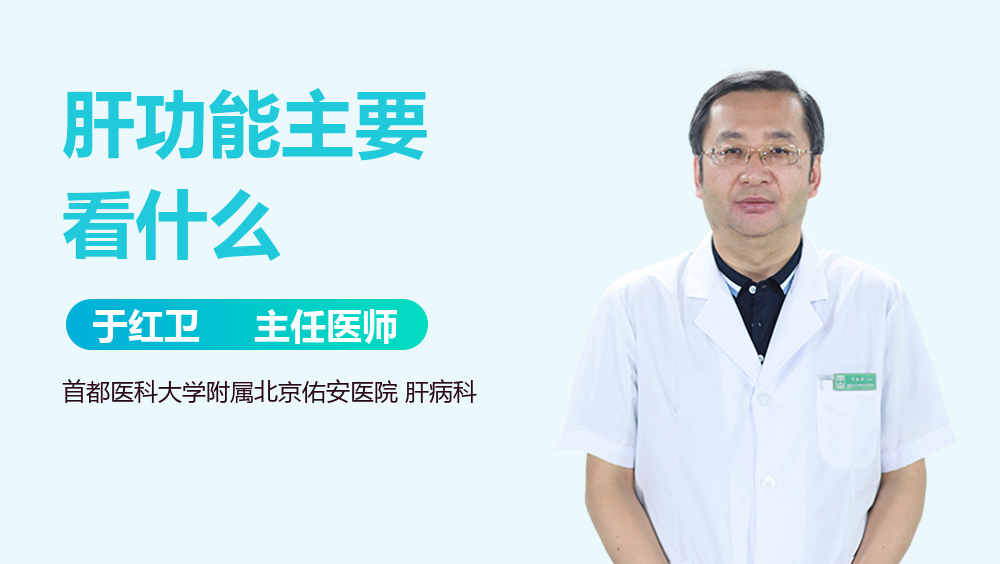 肝功能主要看什么