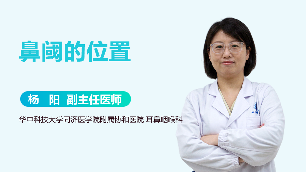 鼻阈的位置