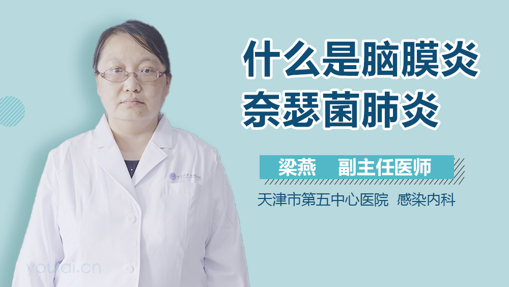 什么是脑膜炎奈瑟菌肺炎