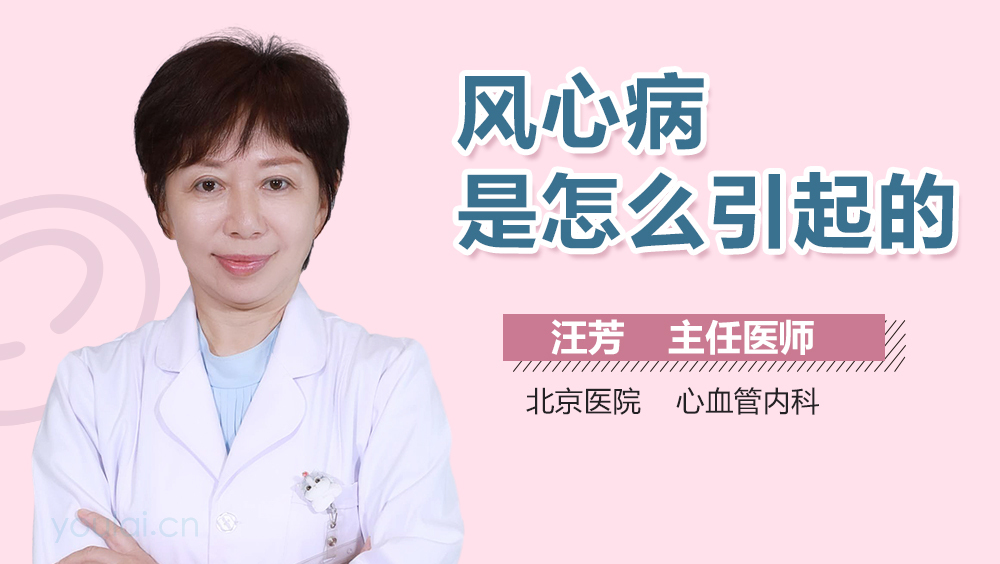 风心病是怎么引起的