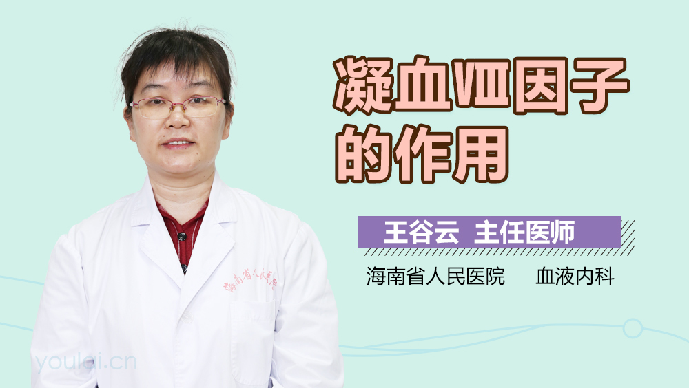凝血Ⅷ因子的作用