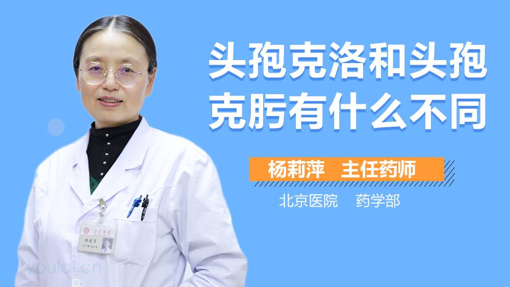 头孢克洛和头孢克肟有什么不同