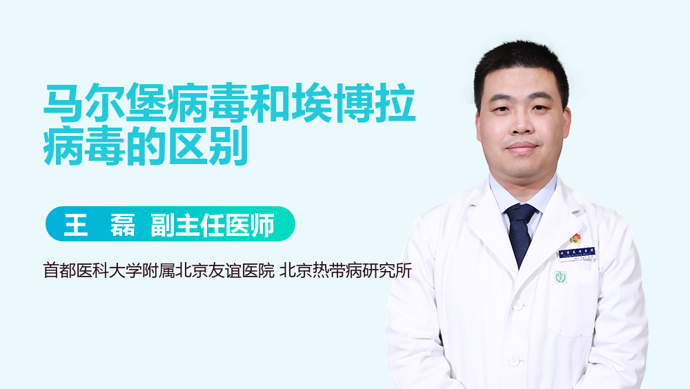 马尔堡病毒和埃博拉病毒的区别