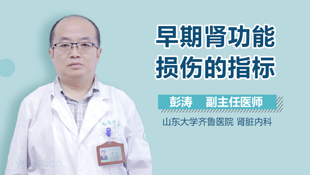 早期肾功能损伤的指标