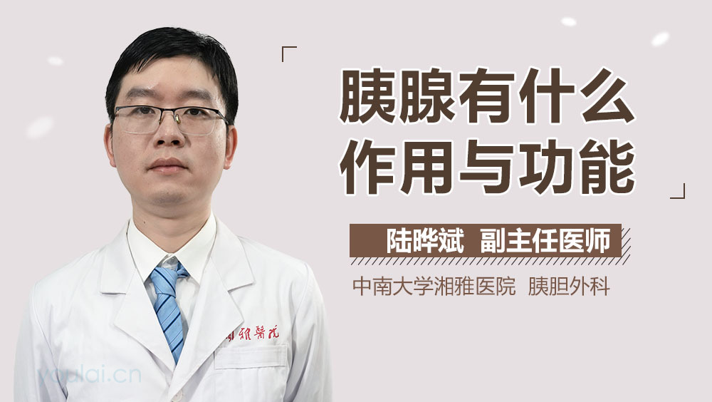 胰腺有什么作用与功能