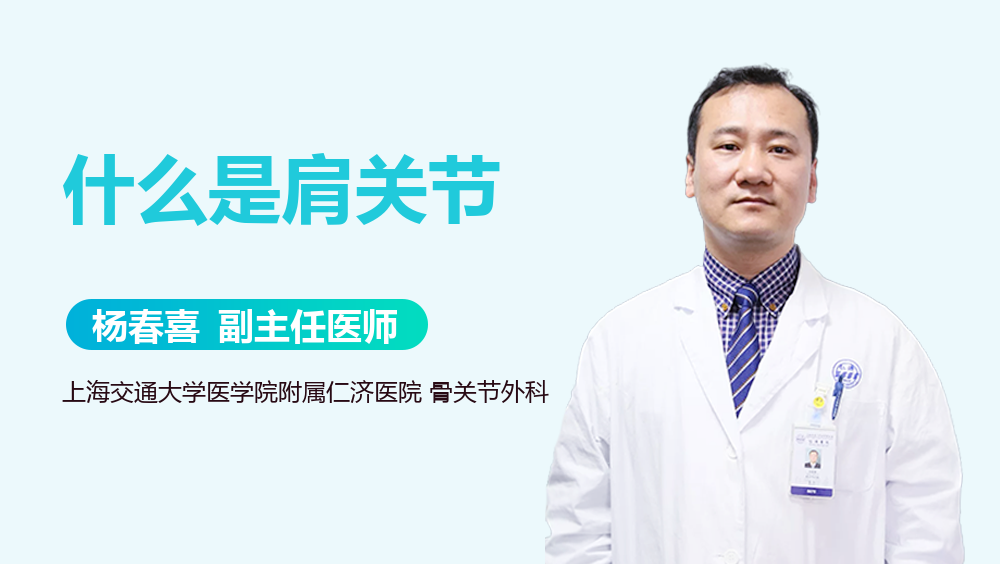 什么是肩关节