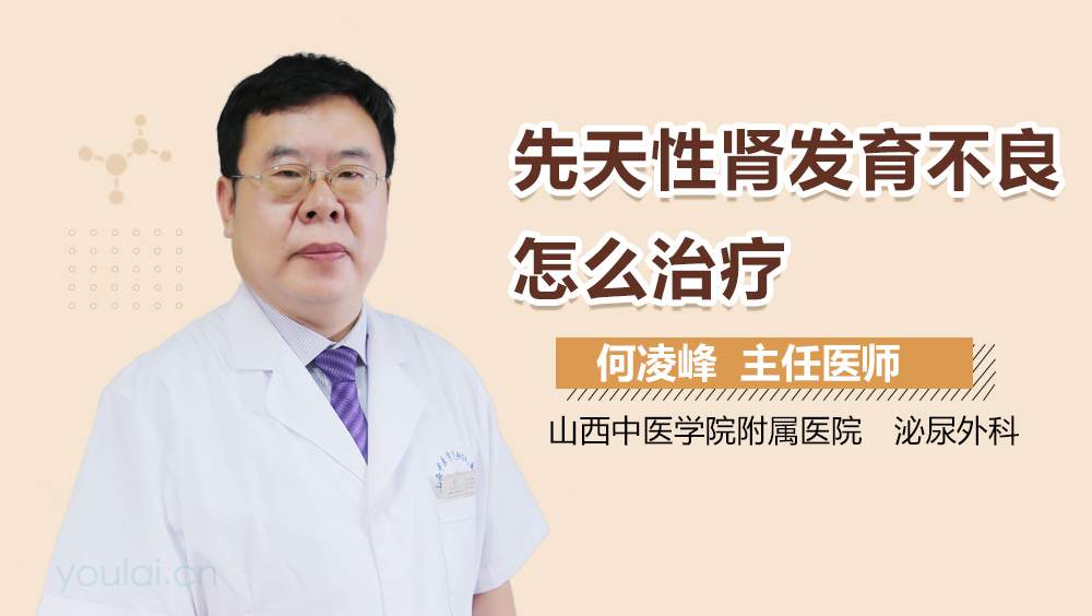 先天性肾发育不良怎么治疗