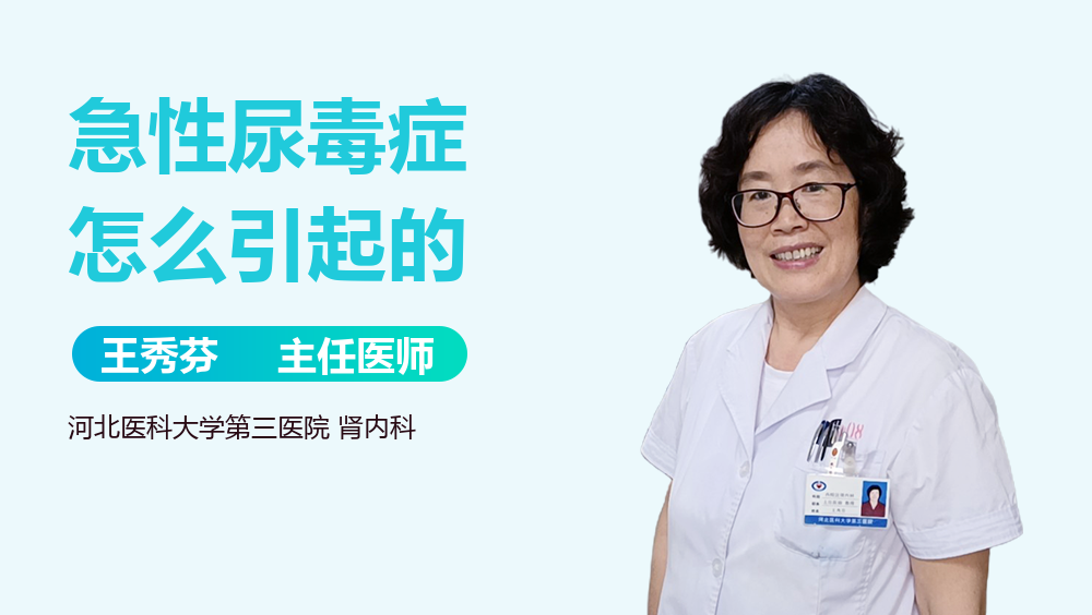 急性尿毒症怎么引起的