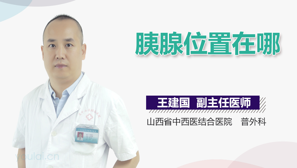 胰腺位置在哪