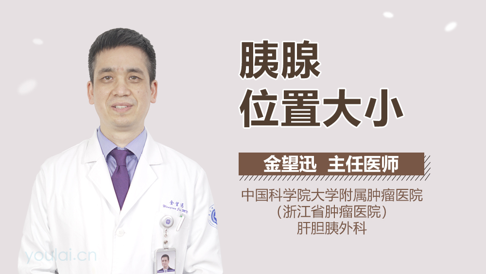 胰腺位置大小