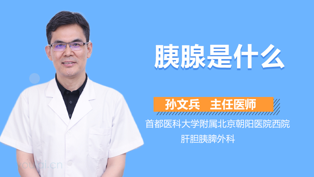 胰腺是什么