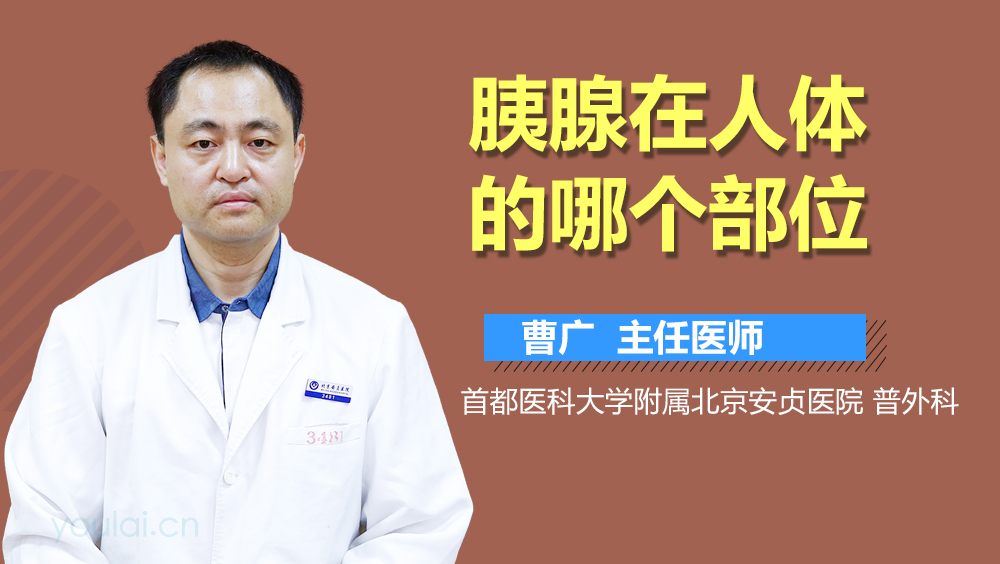 胰腺在人体的哪个部位
