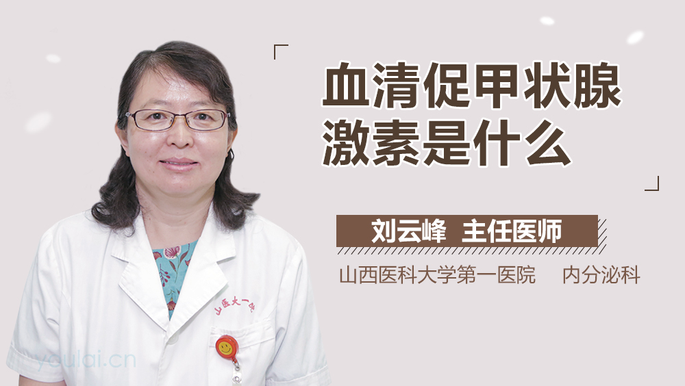 血清促甲状腺激素是什么