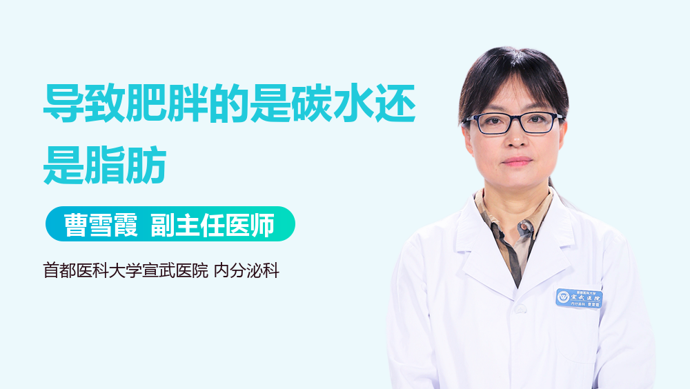 导致肥胖的是碳水还是脂肪