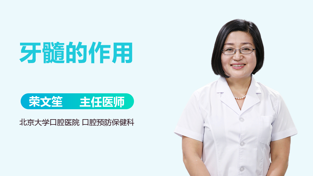 牙髓的作用