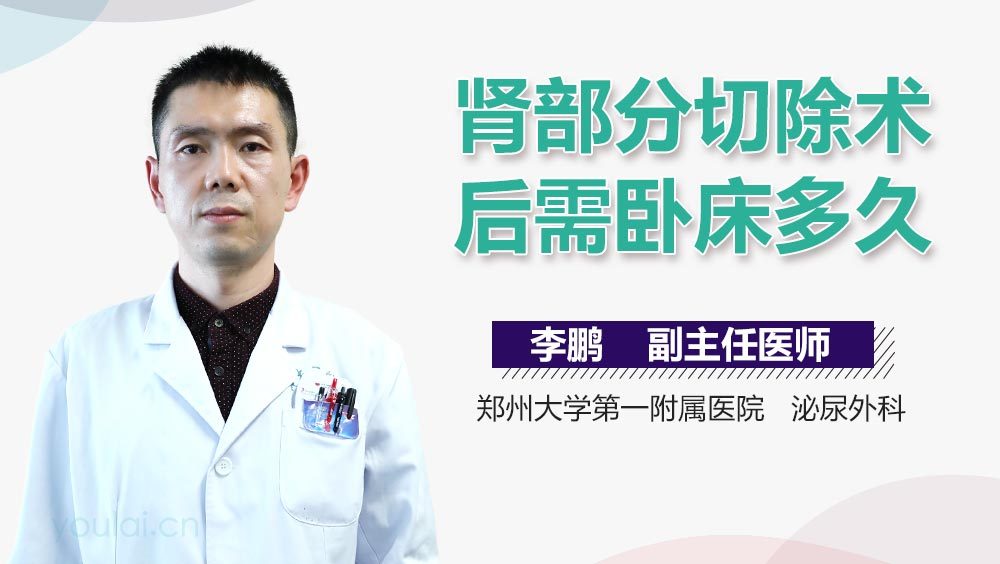 肾部分切除术后需卧床多久