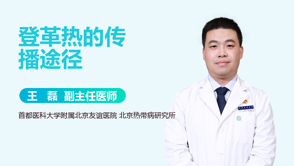 登革热的传播途径