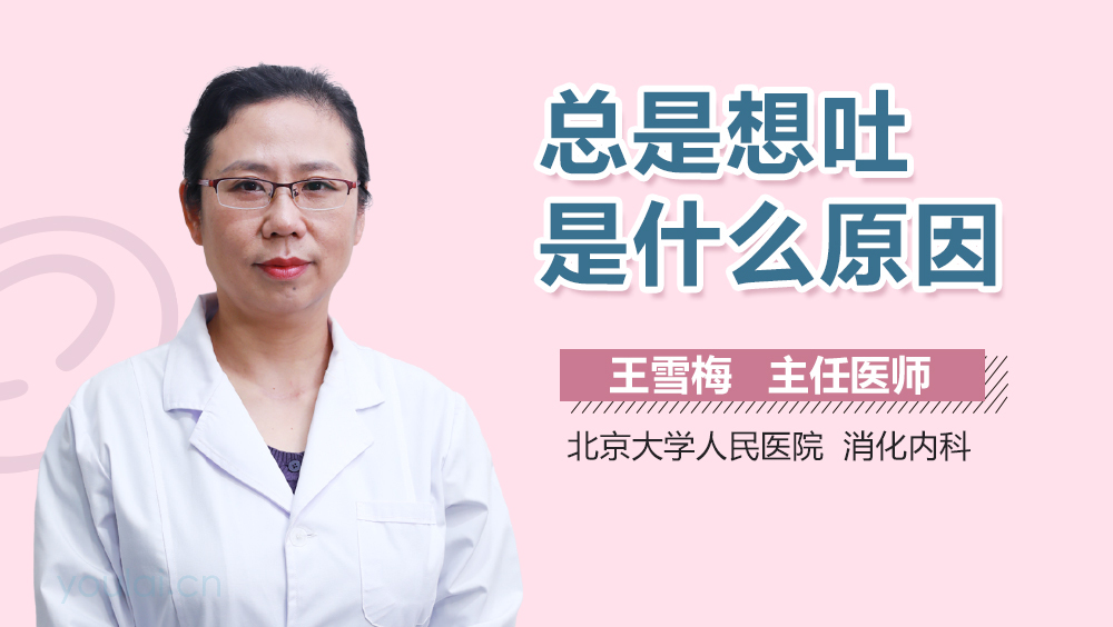 总是想吐是什么原因