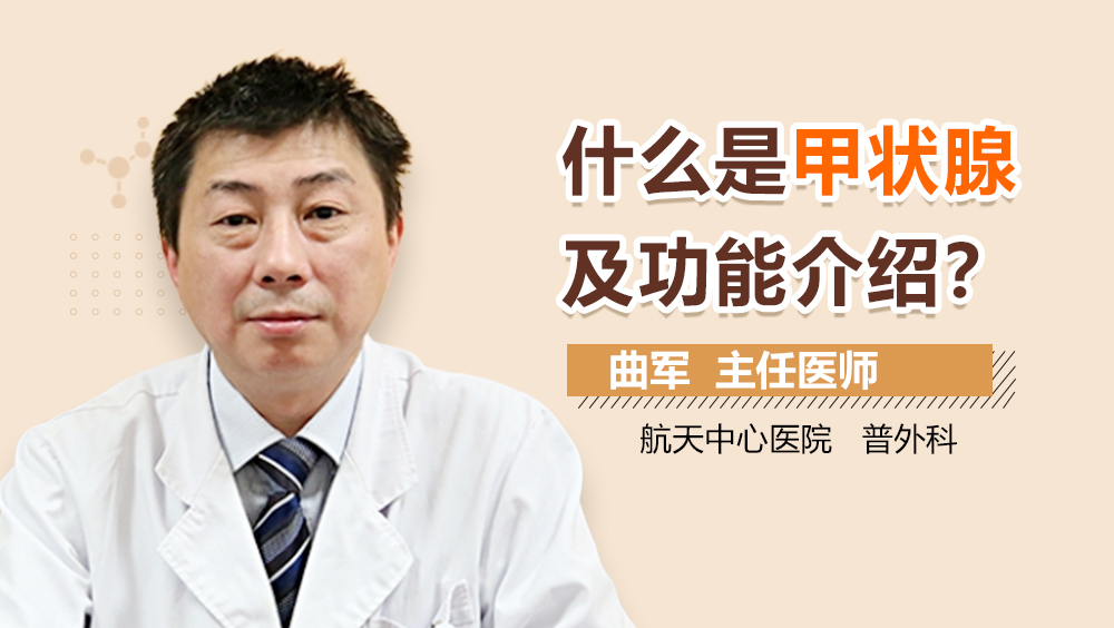 什么是甲状腺及功能介绍