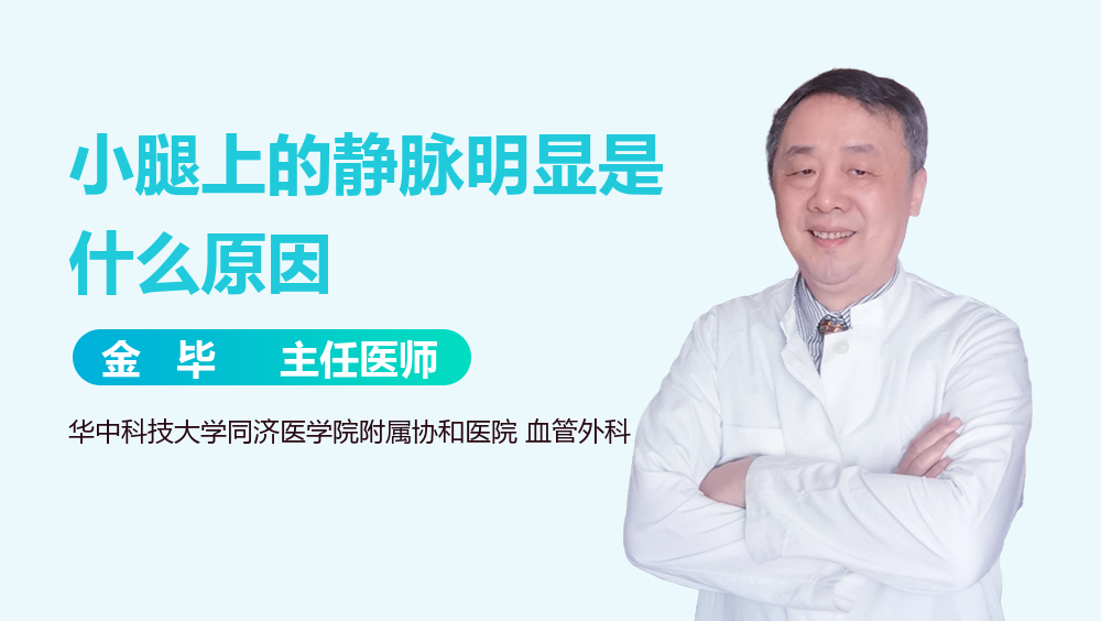 小腿上的静脉明显是什么原因