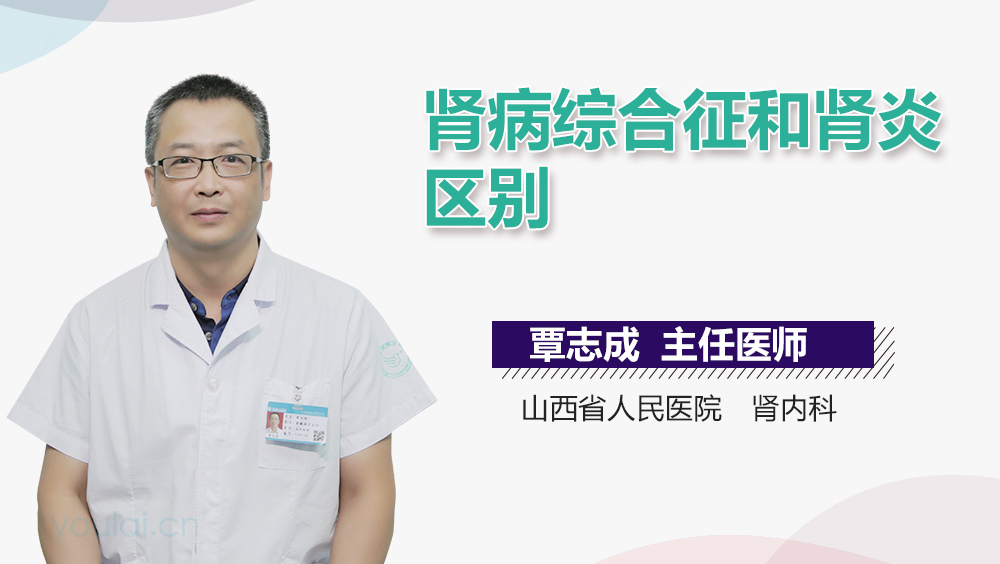 肾病综合征和肾炎区别