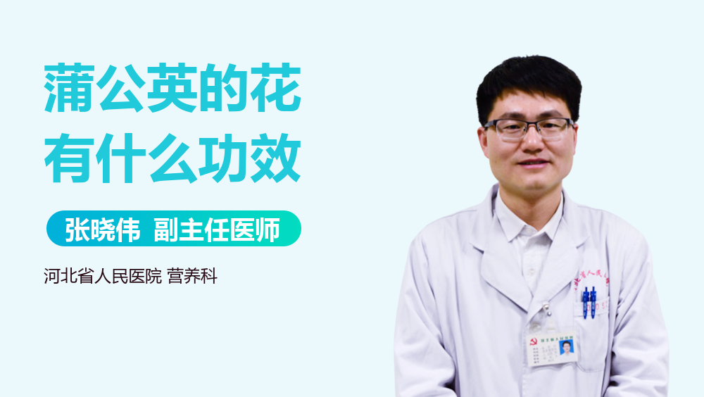 蒲公英的花有什么功效