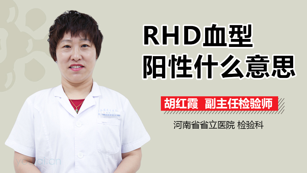 RHD血型阳性什么意思