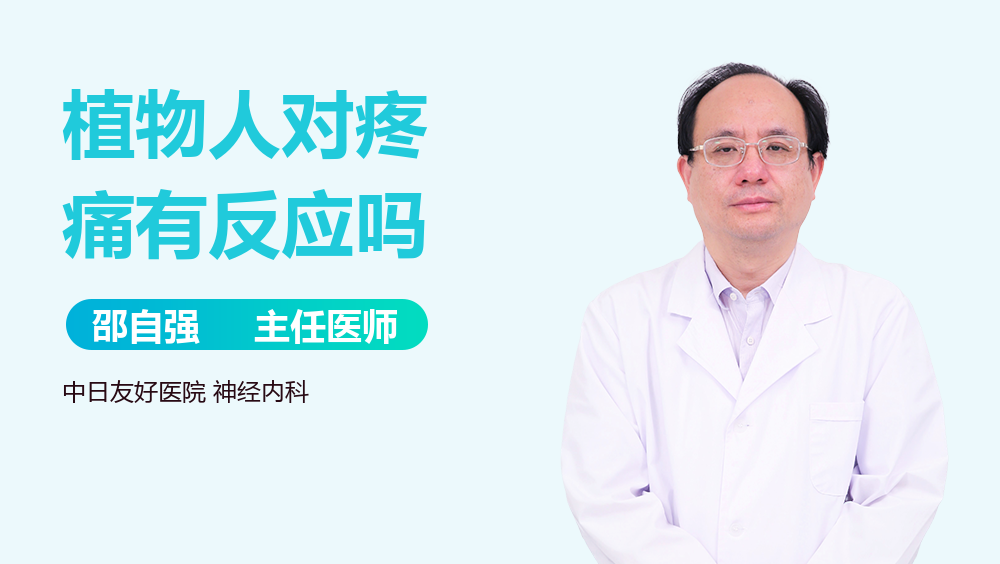 植物人对疼痛有反应吗