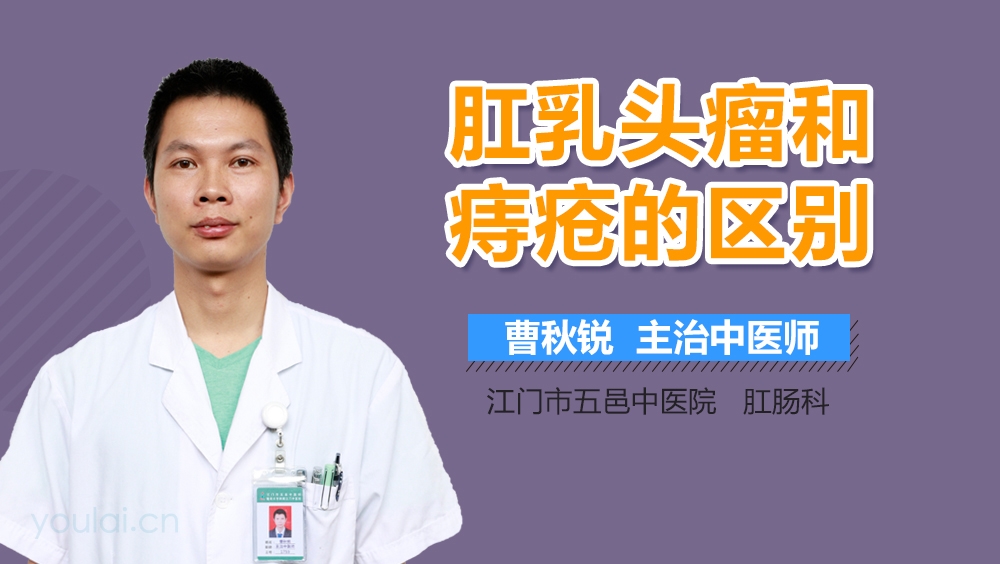 肛乳头瘤和痔疮的区别