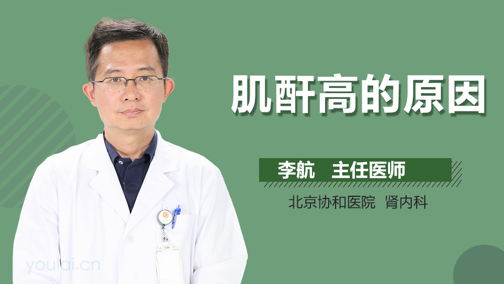 肌酐高的原因