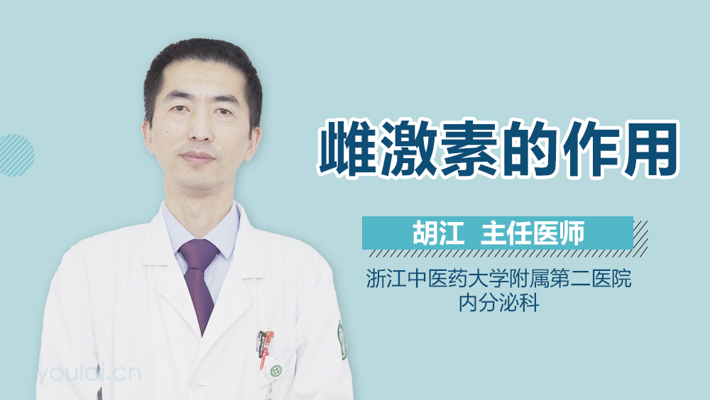 雌激素的作用