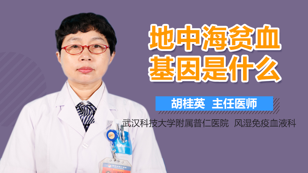 地中海贫血基因是什么