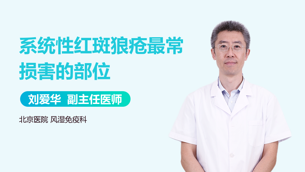 系统性红斑狼疮最常损害的部位