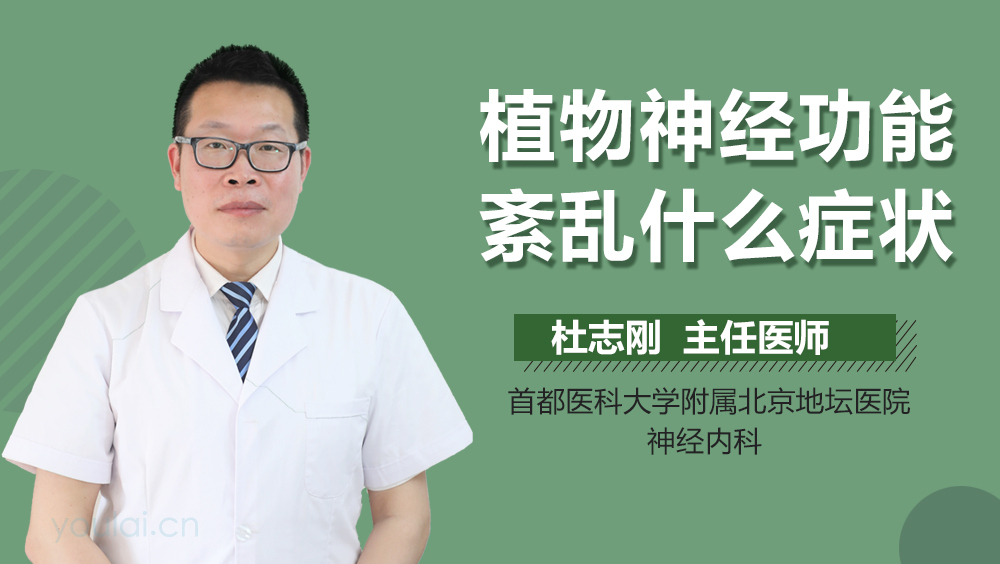 植物神经功能紊乱什么症状