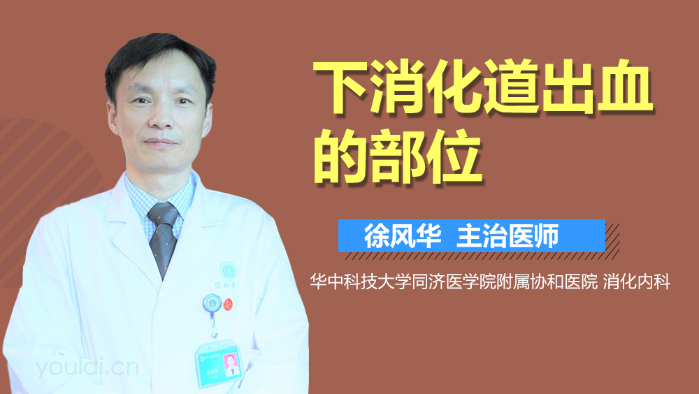 下消化道出血的部位