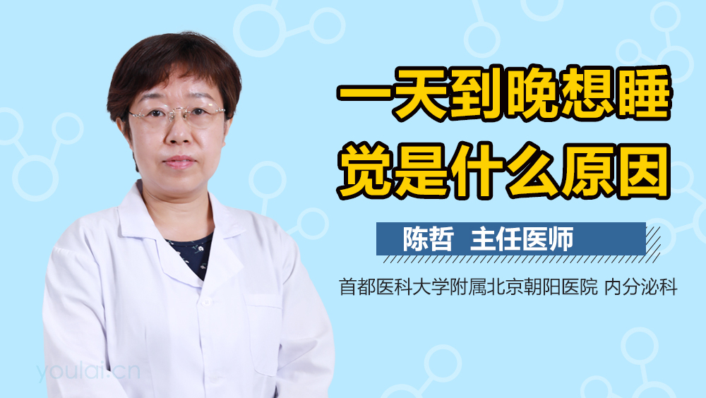 一天到晚想睡觉是什么原因