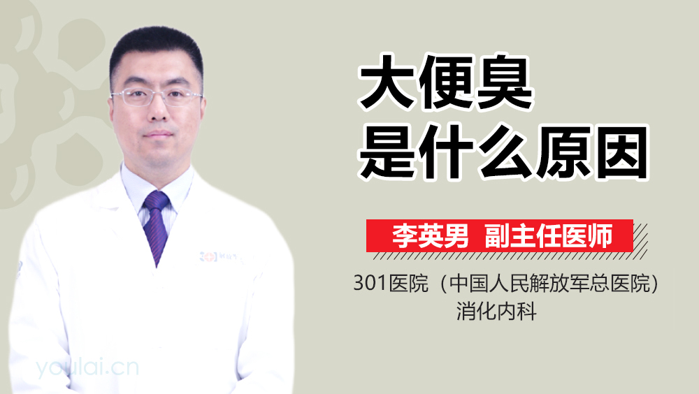 大便臭是什么原因