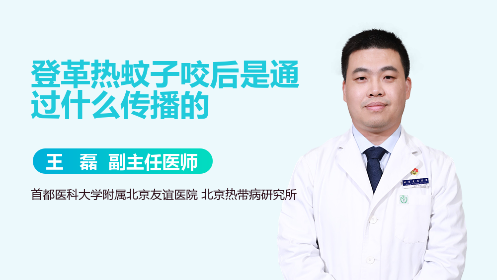 登革热蚊子咬后是通过什么传播的