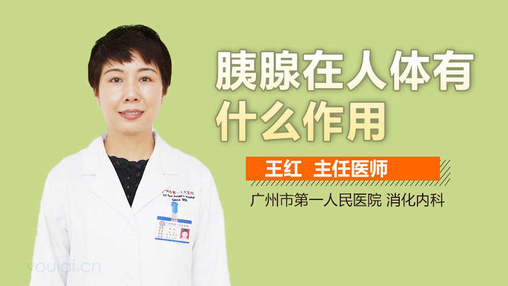 胰腺在人体有什么作用