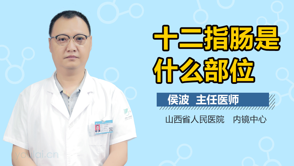 十二指肠是什么部位