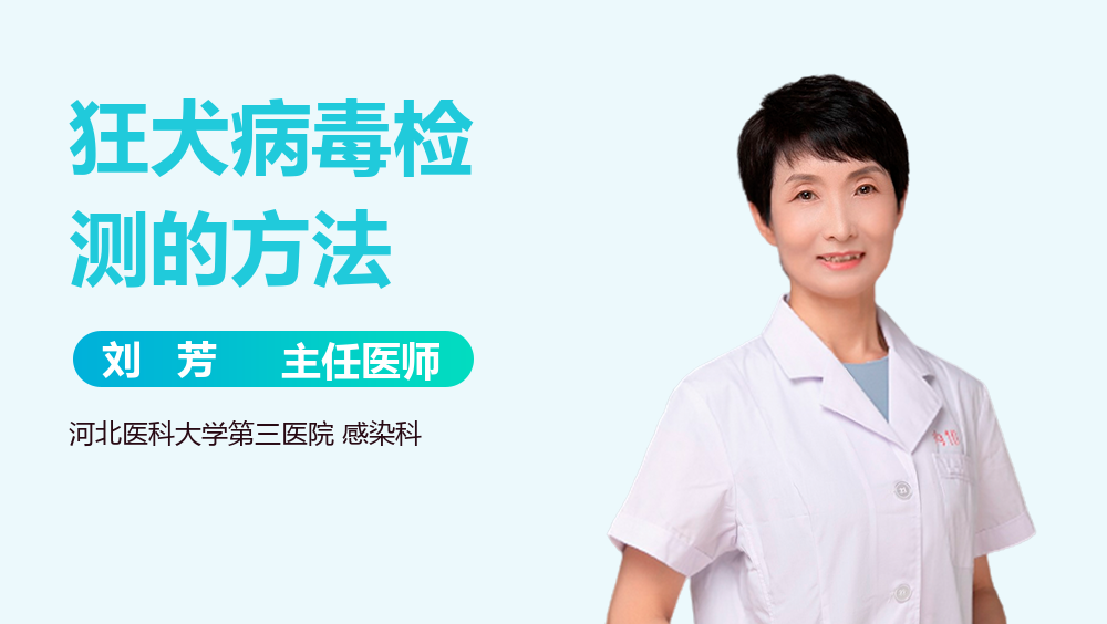 狂犬病毒检测的方法
