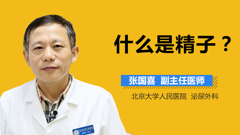 什么是精子