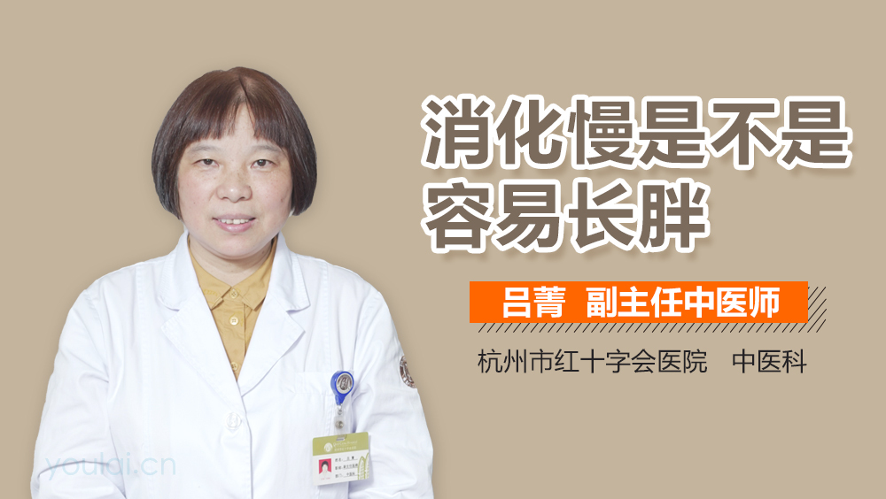 消化慢是不是容易长胖