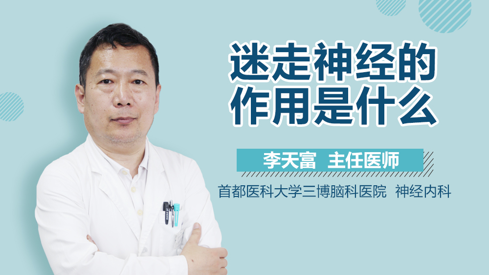 迷走神经的作用是什么