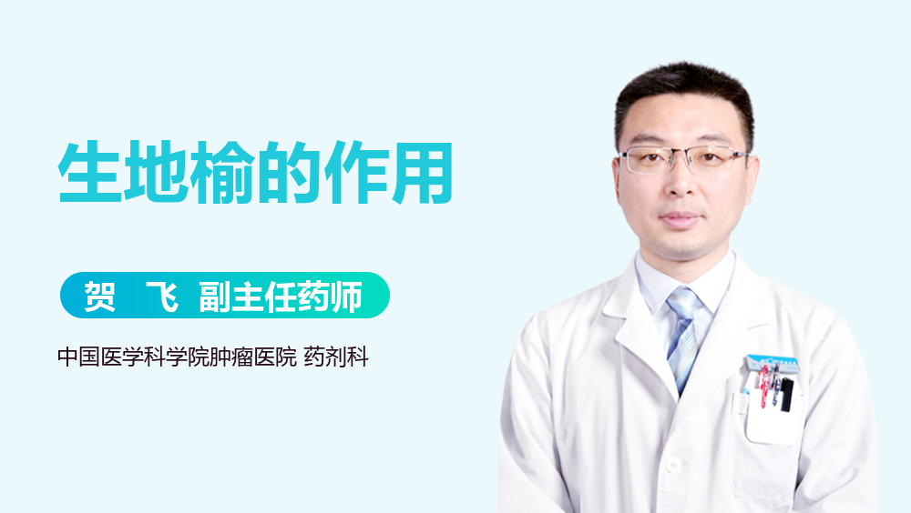 生地榆的作用