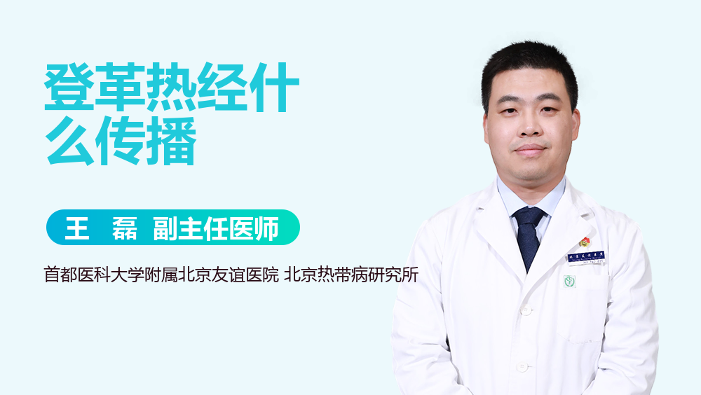 登革热经什么传播