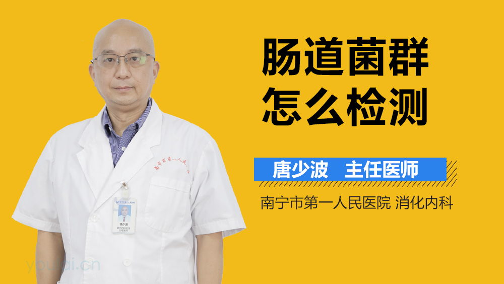 肠道菌群怎么检测